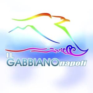 il gabbiano volla